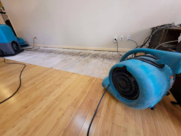 Professional Basement Flood Cleanup technician working in Brewster, NY